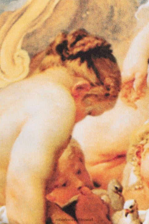 Roberto Cavalli نحيف متعدد الألوان ملابس السباحة المطبوعة اللوحة ملابس 4H40H346