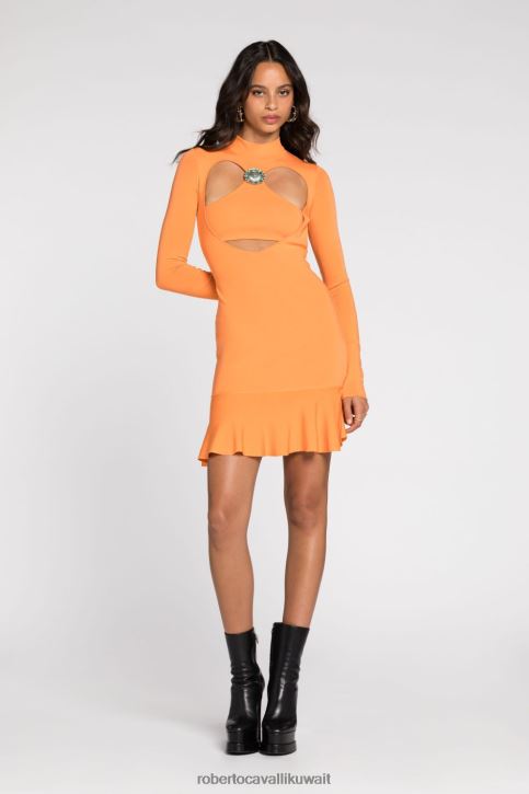 Roberto Cavalli نحيف أنيق فستان جاكار منسوج على شكل نمر ملابس 4H40H35