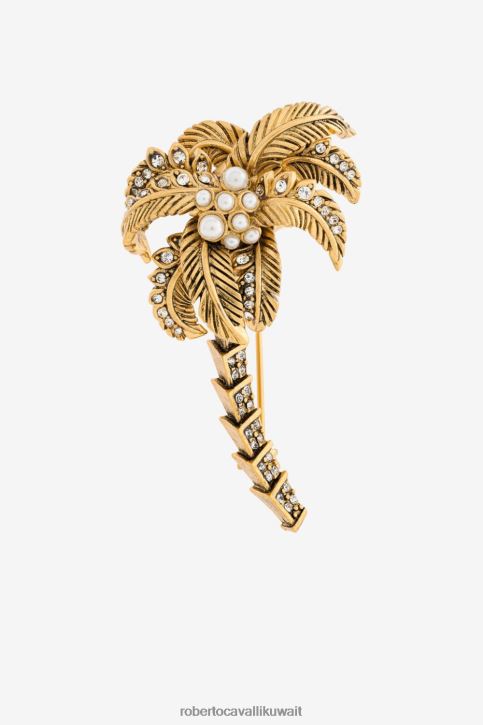 Roberto Cavalli نحيف أنيق بروش مُكَمِّلات 4H40H603