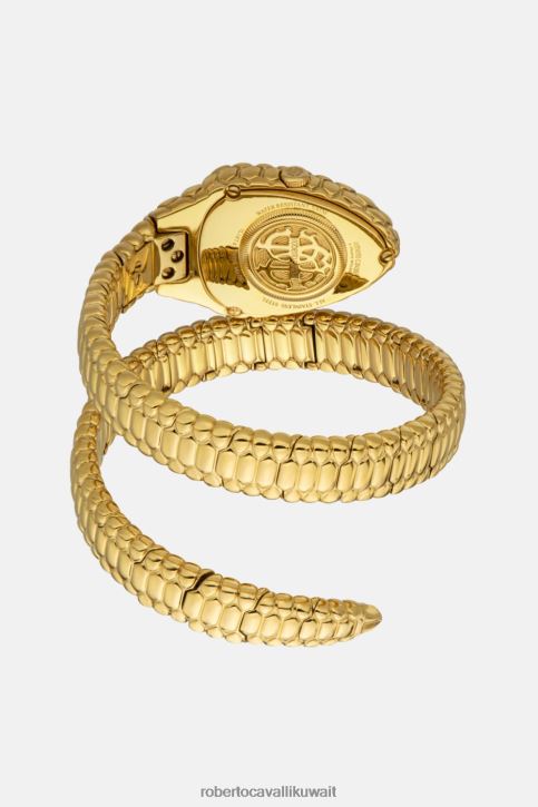 Roberto Cavalli نحيف رشيقة وشاح بطبعة جلد الفهد متدرج مُكَمِّلات 4H40H663