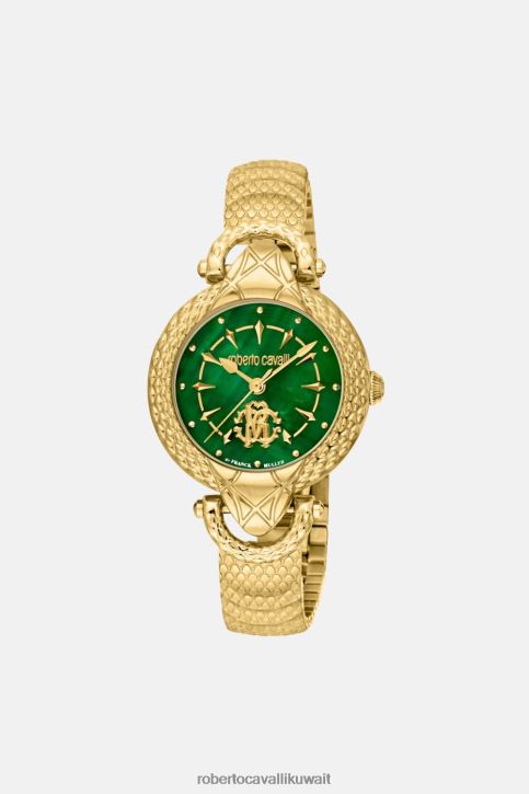 Roberto Cavalli نحيف رشيقة ساعة فرانك مولر سناك كور مُكَمِّلات 4H40H665