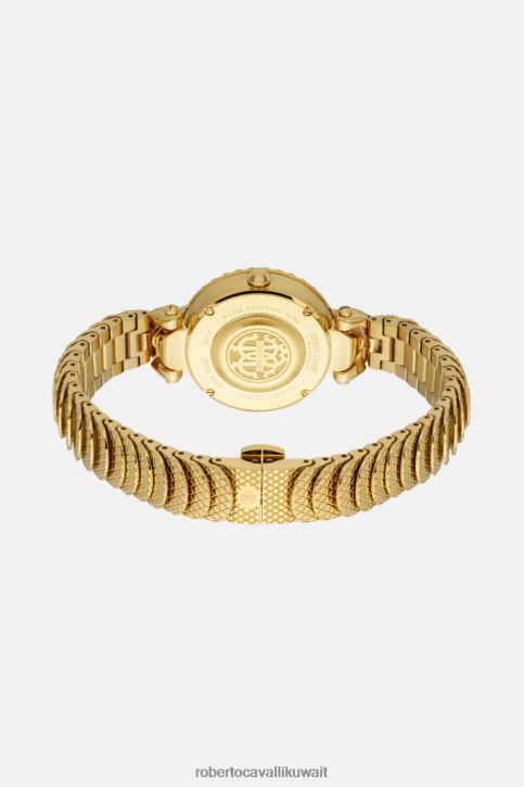 Roberto Cavalli نحيف رشيقة ساعة فرانك مولر سناك كور مُكَمِّلات 4H40H665