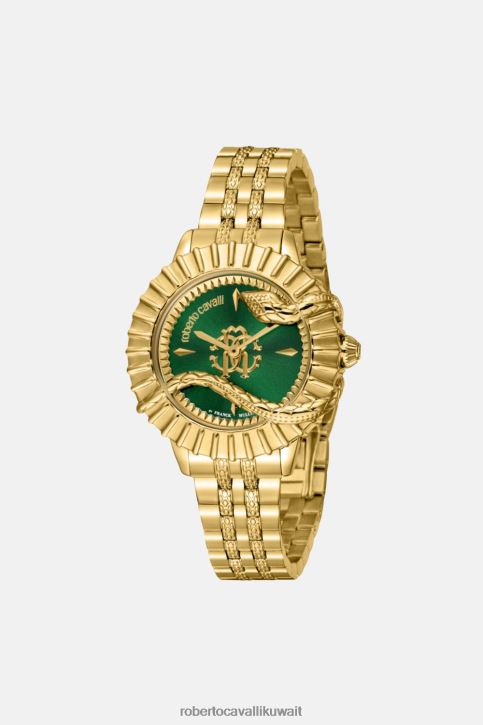 Roberto Cavalli نحيف موضة ساعة فرانك مولر سناك كور مُكَمِّلات 4H40H671