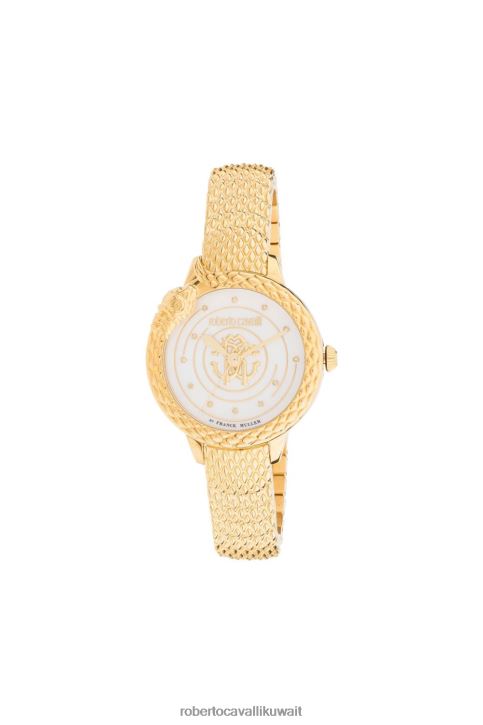 Roberto Cavalli نحيف رشيقة مشاهدة فرانك مولر مُكَمِّلات 4H40H674