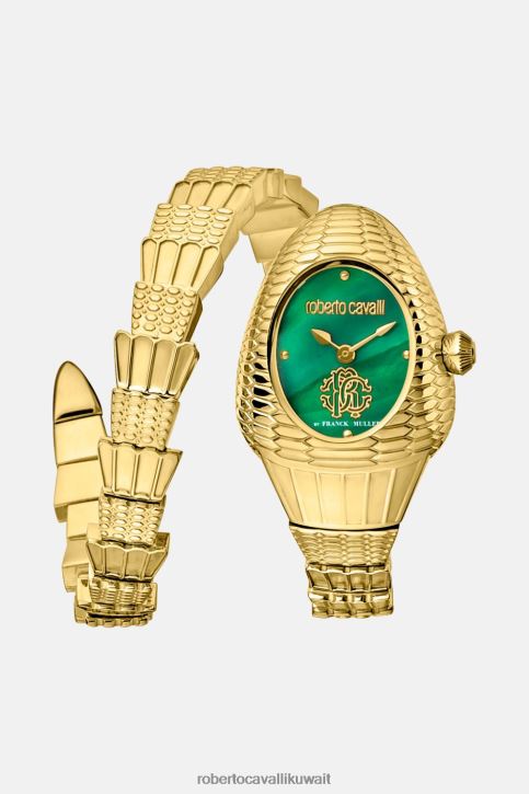 Roberto Cavalli نحيف رشيقة مشاهدة فرانك مولر مُكَمِّلات 4H40H674