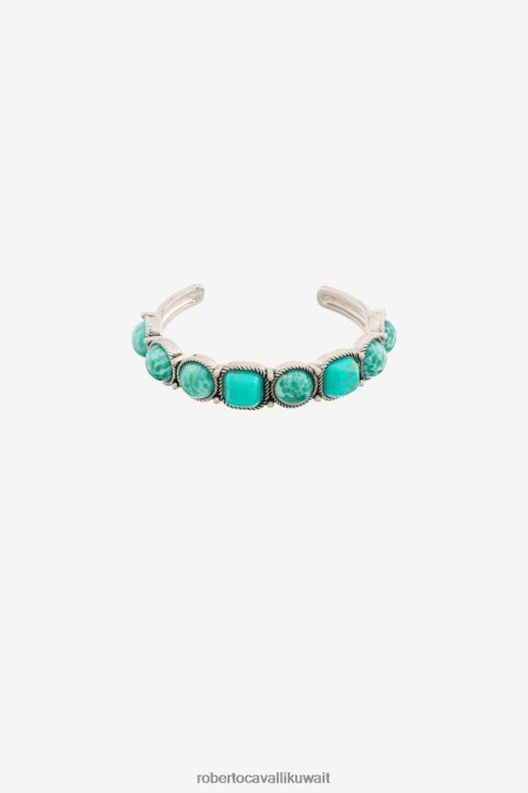 Roberto Cavalli نحيف d0607 صفعة مزينة بالأحجار الكريمة مُكَمِّلات 4H40H584